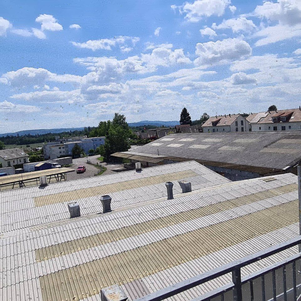 Dächer eines Industriegebäudes, Arbeit der Manu's Malergeschäft AG