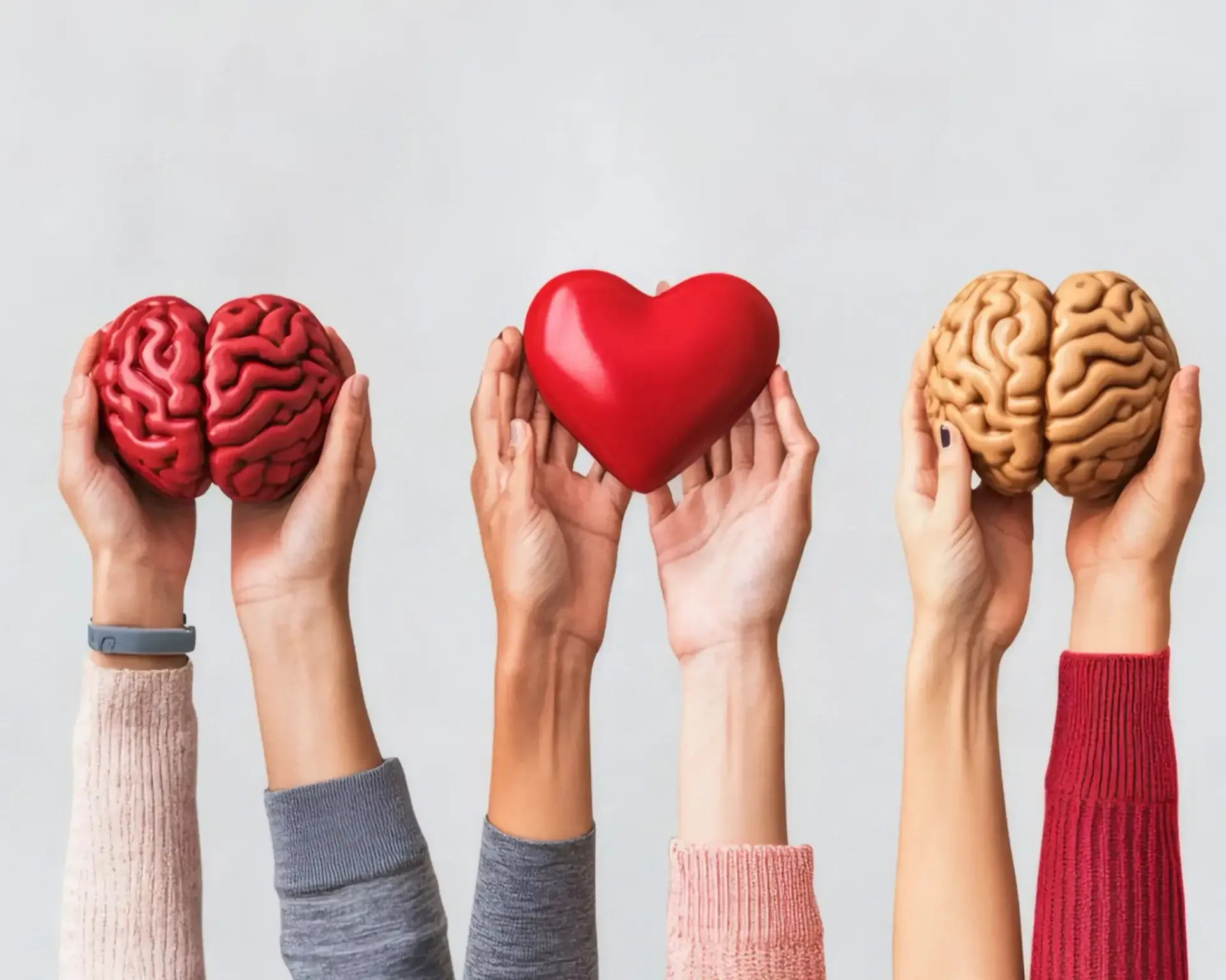 Manos sosteniendo un cerebro rojo, un corazón y un cerebro bronceado, que representan la mente y las emociones.