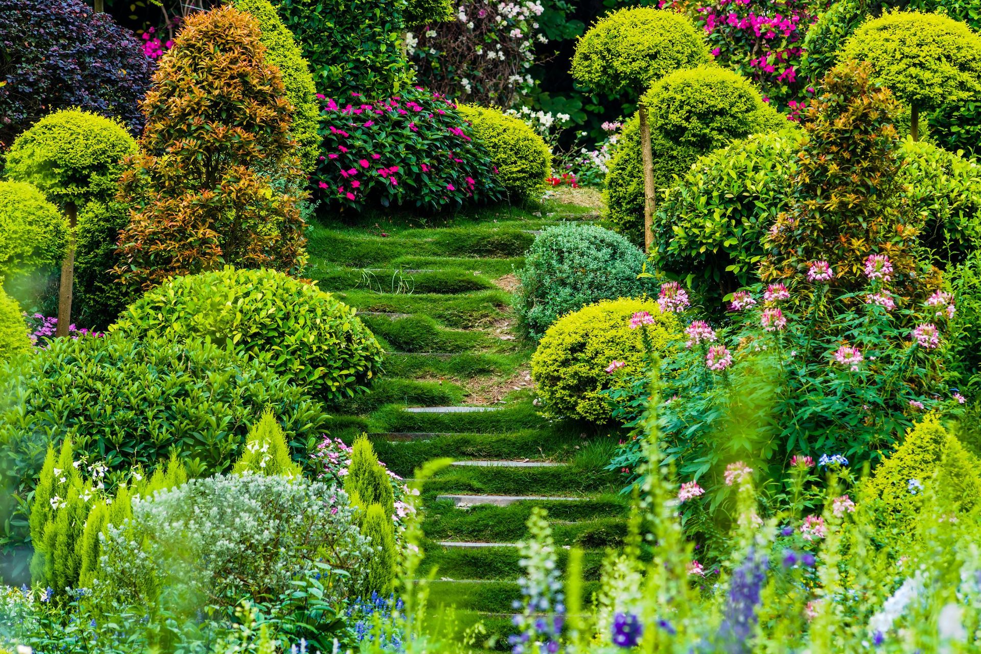 Un jardín lleno de muchas plantas y flores y escaleras.