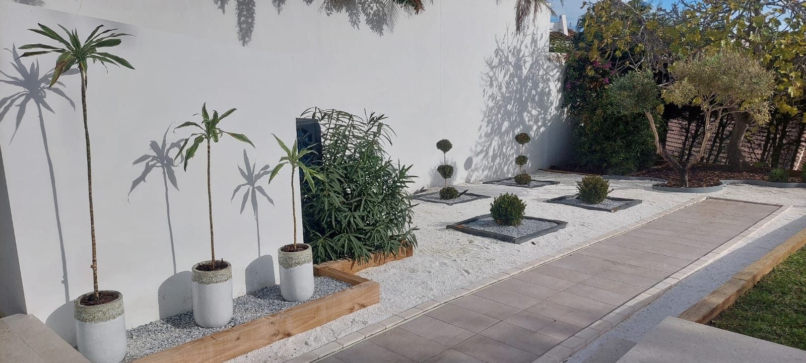 Una pared verde con un árbol en el medio.