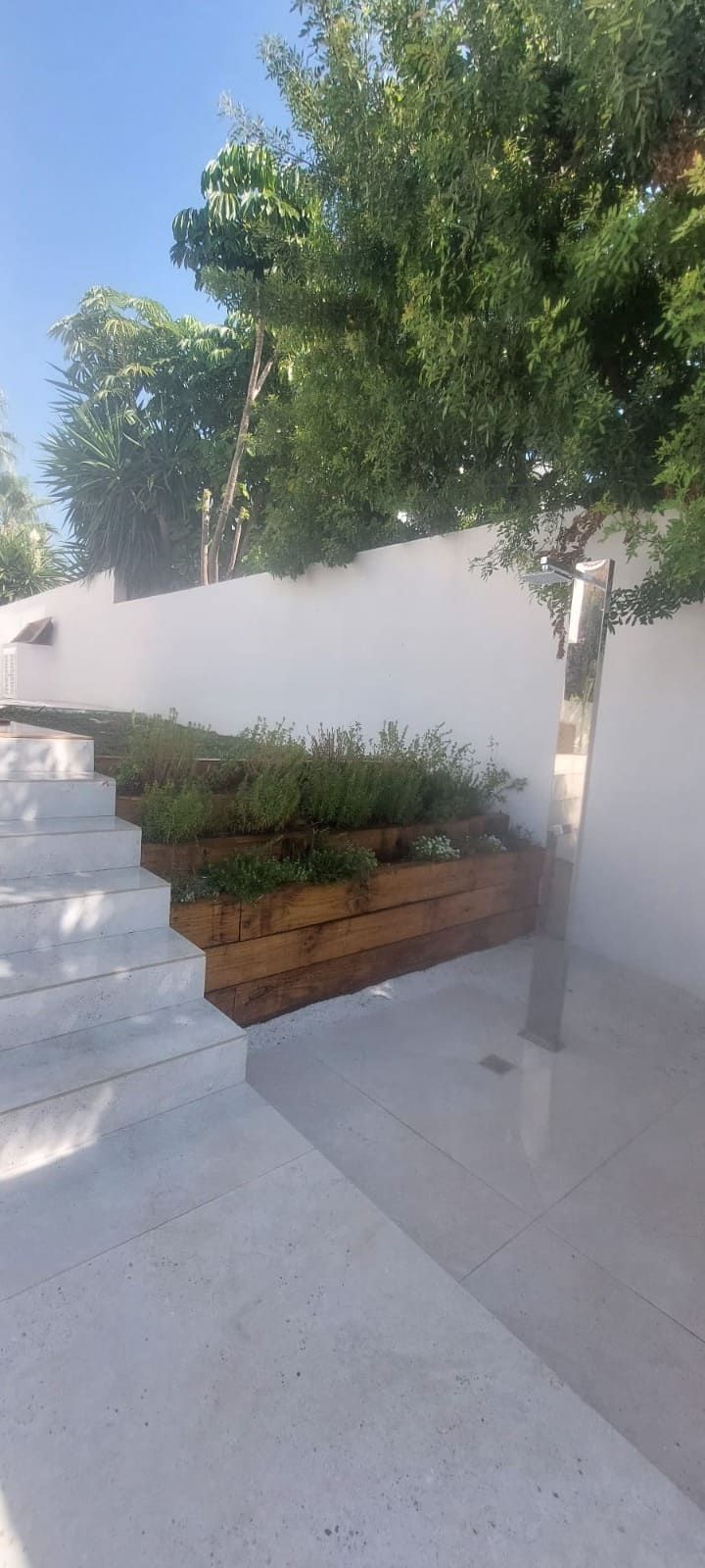 Hay un árbol en el medio del jardín rodeado de flores.
