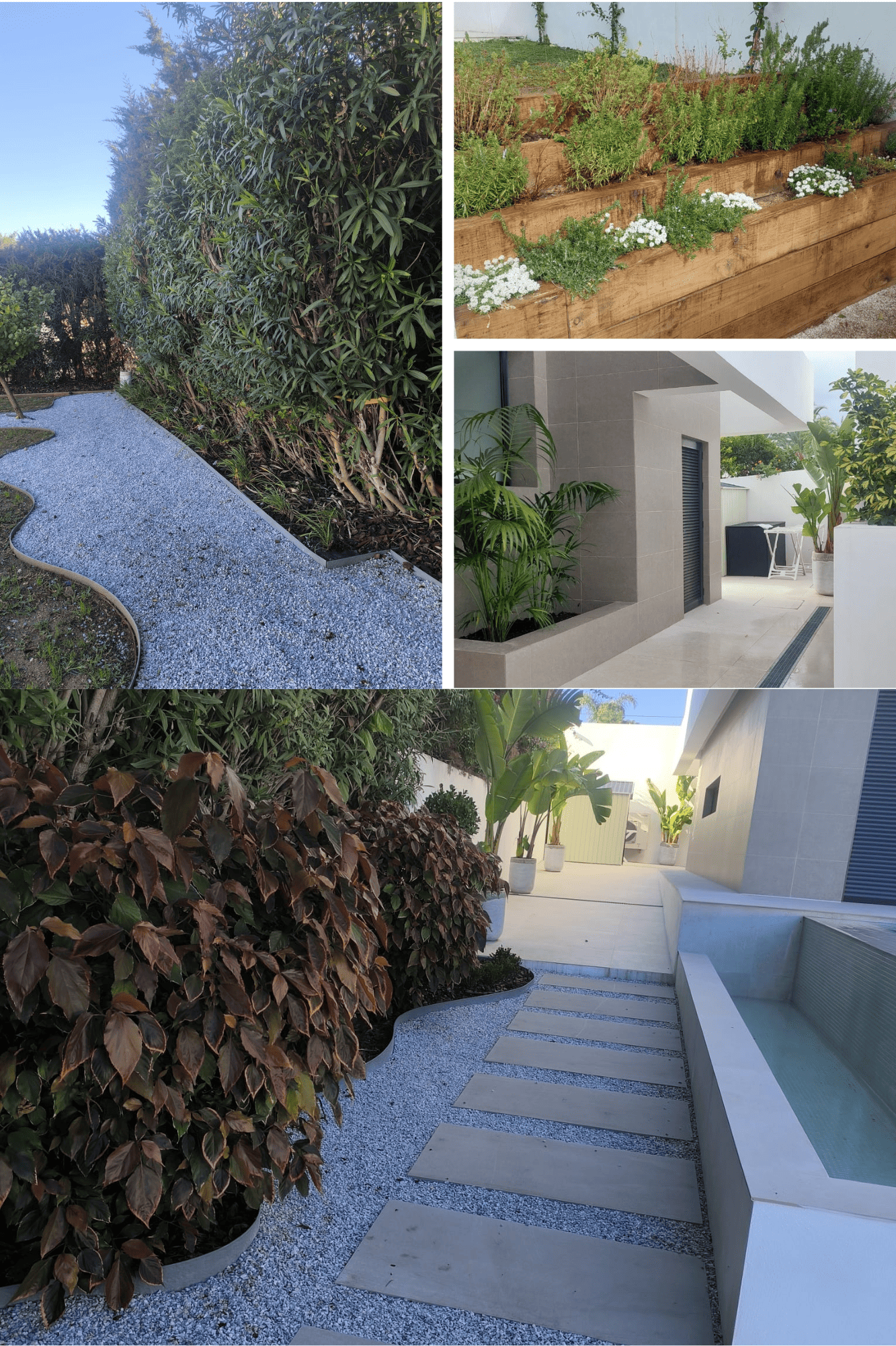 Un árbol está creciendo en una pared verde en un jardín.