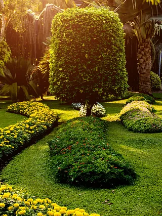 Hay un árbol en el medio del jardín rodeado de flores.