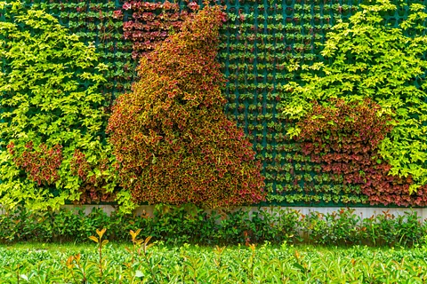 Una pared verde con un árbol en el medio.