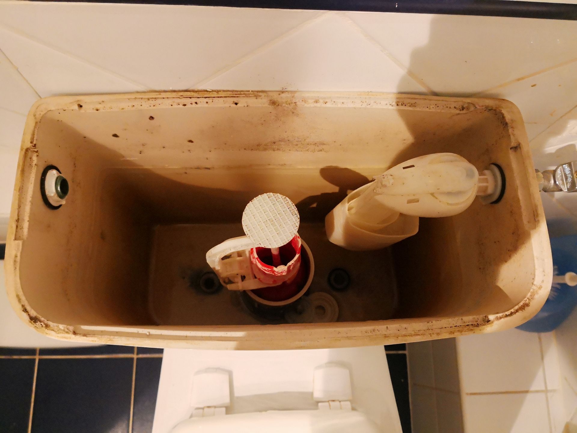 Siphon dans une chasse d'eau