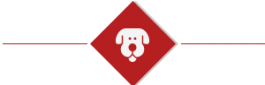 Tête de chien