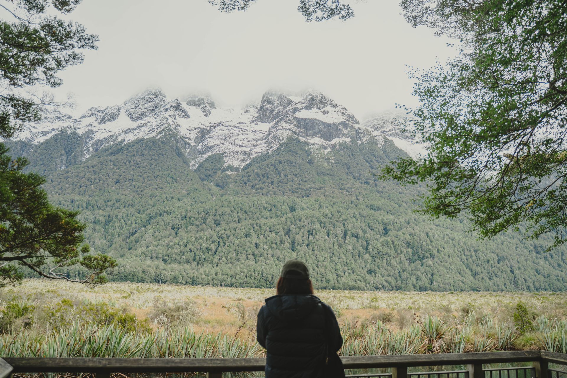 Queenstown holiday rental property management services