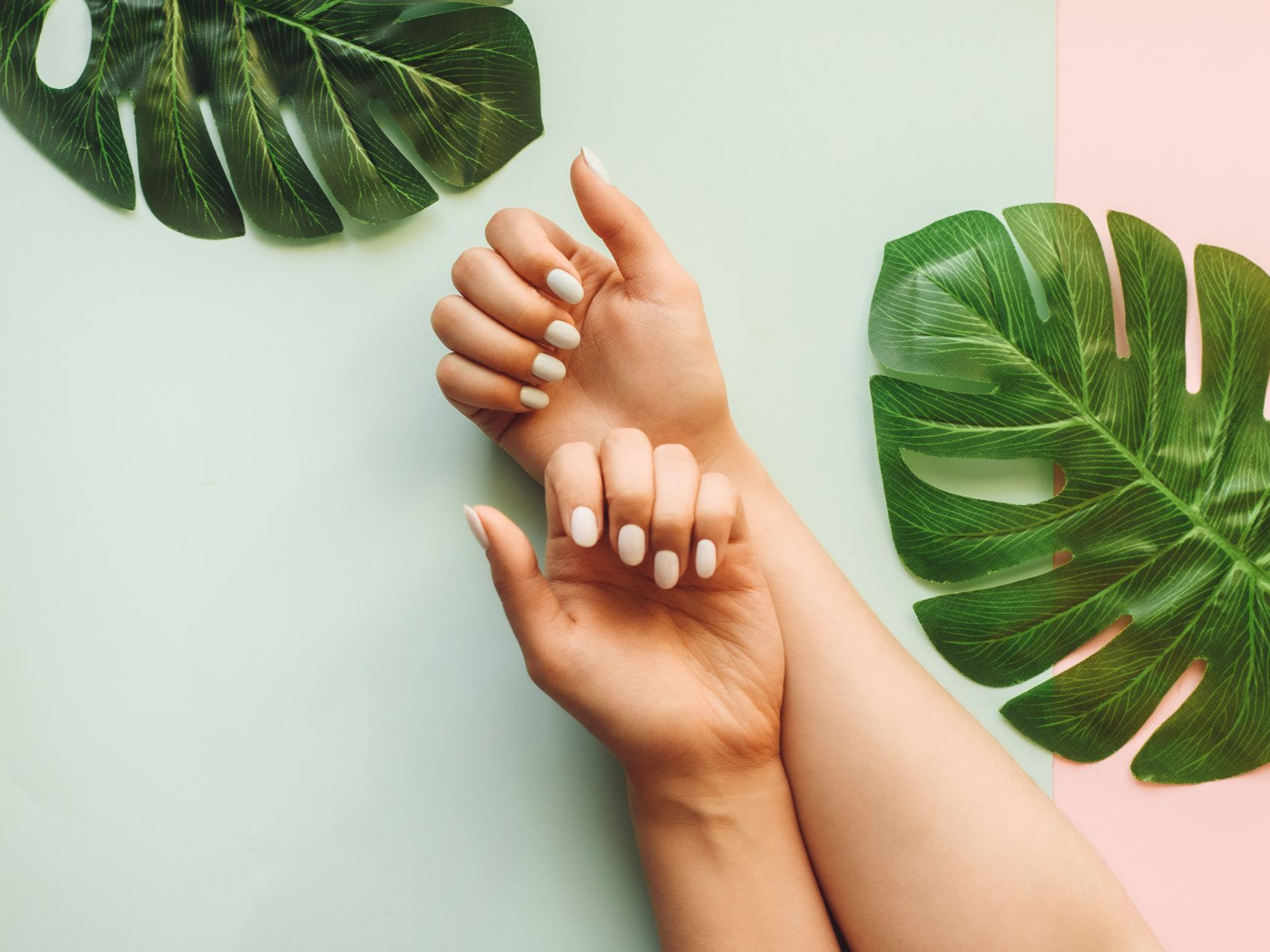 Mains aux ongles manucurés rose pâle sur un fond menthe et rose orné de feuilles de monstera.