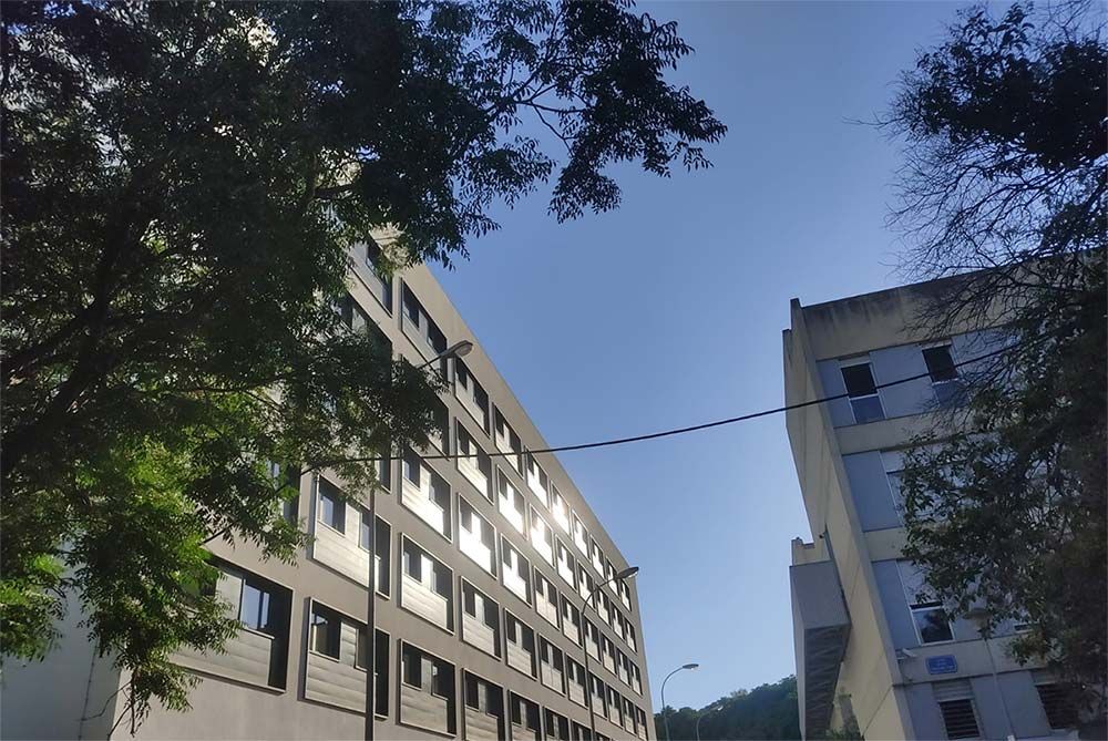 Edificios de poca altura vistos a través de los árboles contra un cielo azul despejado