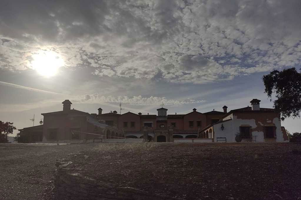 Hilera de casas iluminadas por el sol bajo un cielo nublado, vistas a través de un campo oscuro al atardecer.