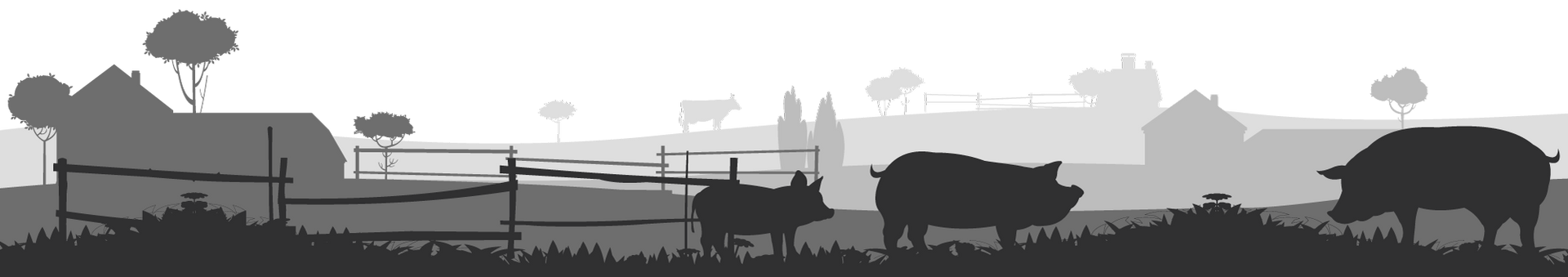 Grafik einer Gruppe von Schweinen, die auf einem Feld stehen. Im Hintergrund stehen Bauernhöfe und ein Hofladen.