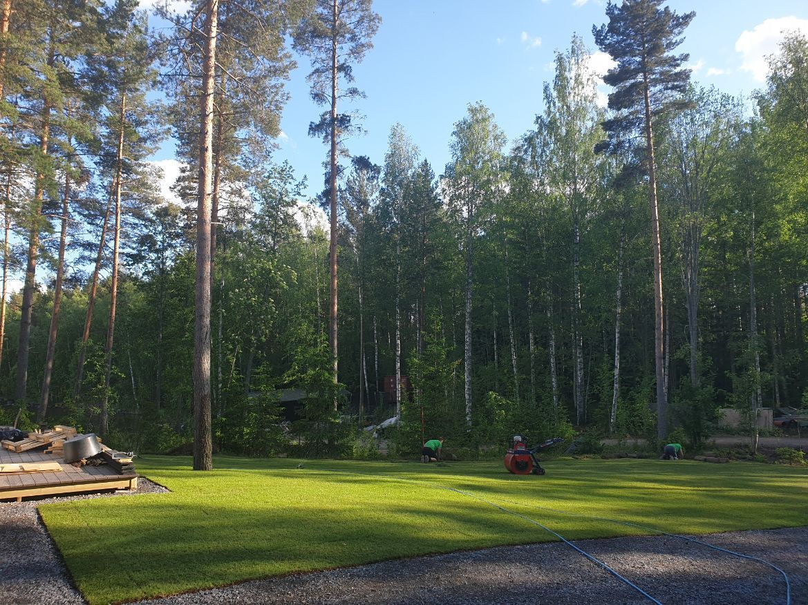 Nurmikko, Mesiän Siirtonurmi, Hämeenkoski