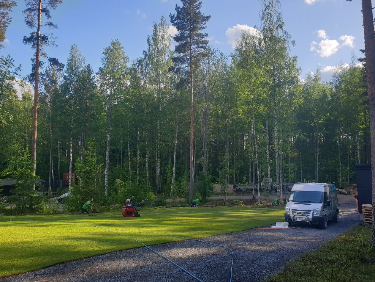 Nurmikko, Mesiän Siirtonurmi, Hämeenkoski