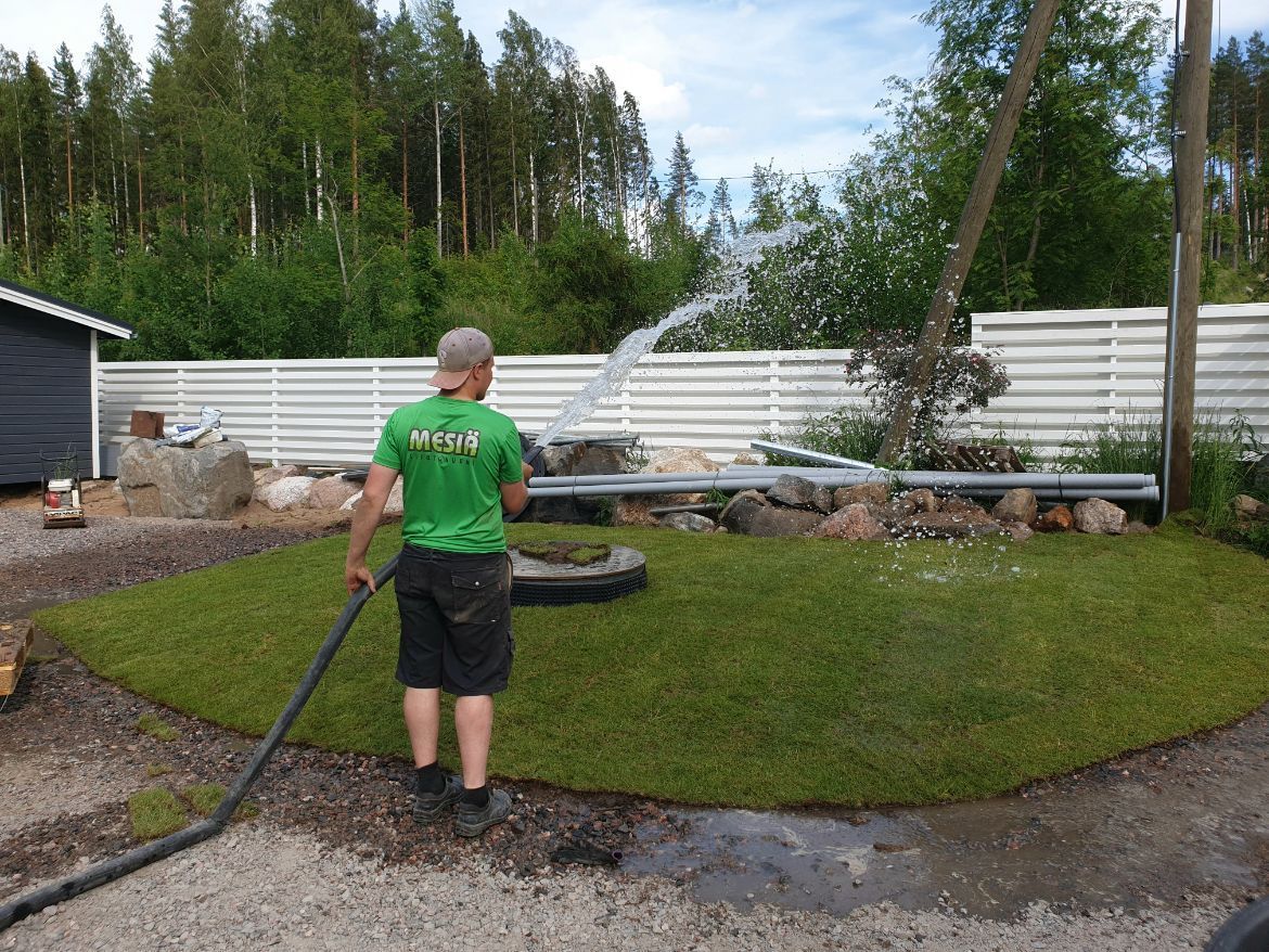 Siirtonurmen hoito, Mesiän Siirtonurmi, Hämeenkoski