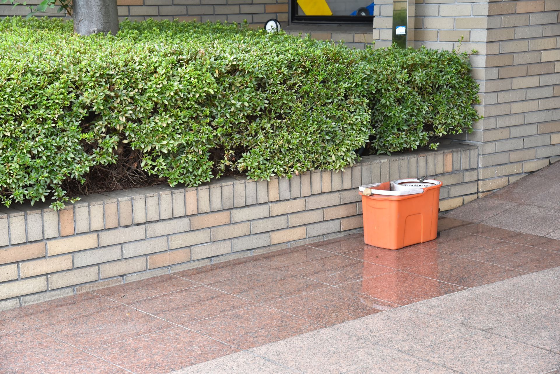 Une poubelle en plastique orange est posée sur une allée pavée, à côté d'un mur de briques et d'une haie bien taillée.