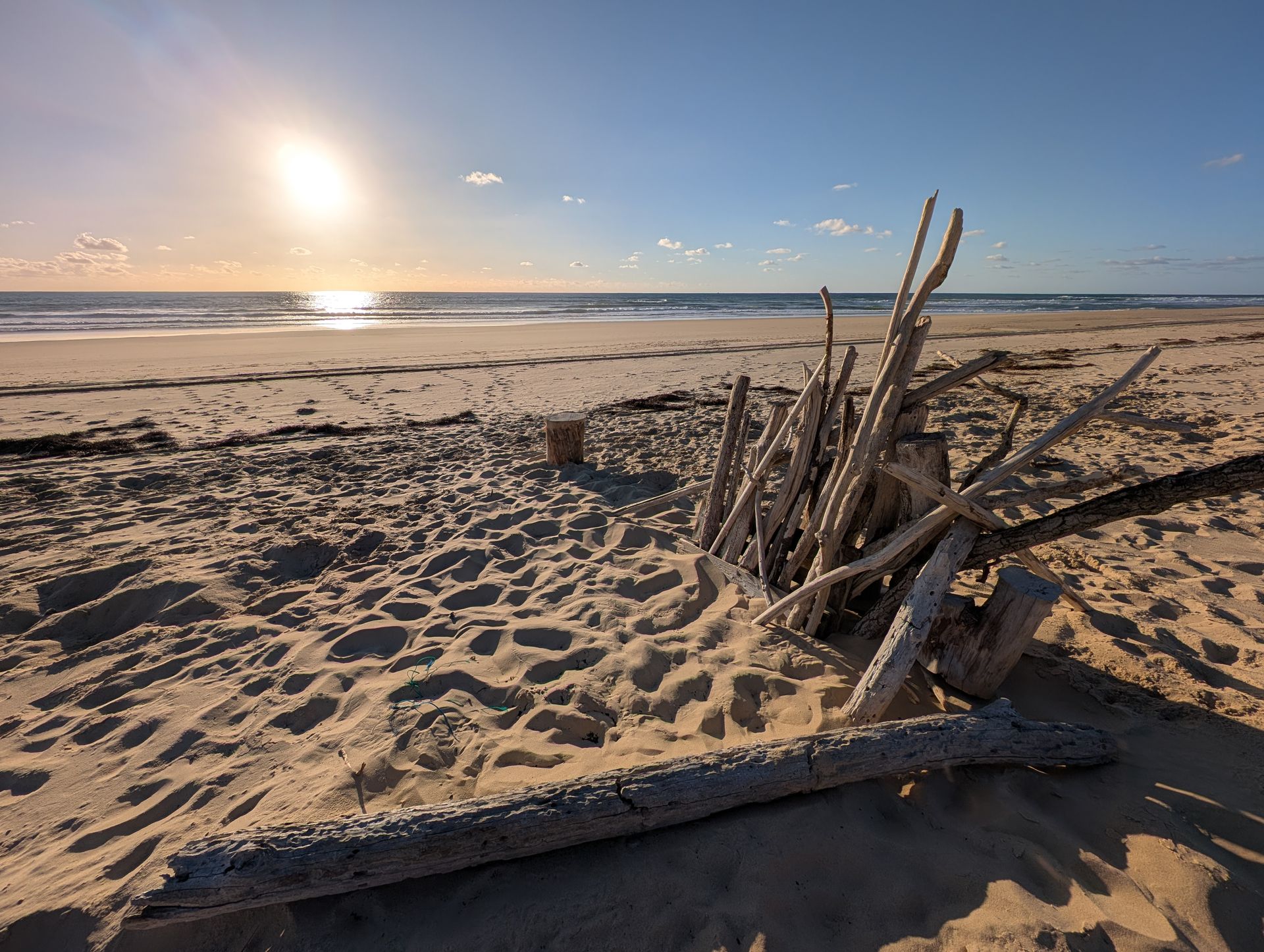 Sonniger Strand mit Treibholz am sandigen Ufer unter klarem Himmel