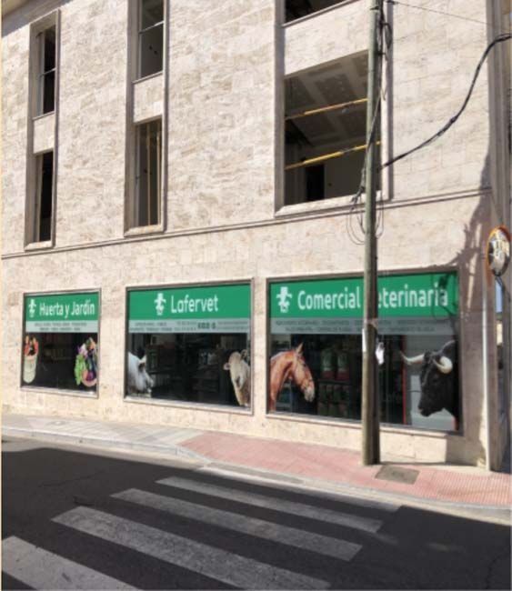 Un consultorio veterinario con animales en las ventanas.