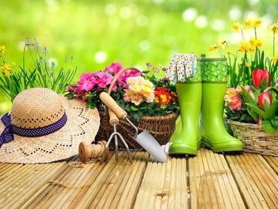 Una terraza de madera con herramientas de jardinería y flores.