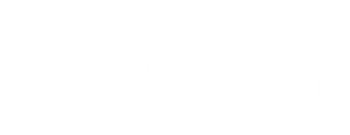mirva-harjukari-digineuvola-logo1