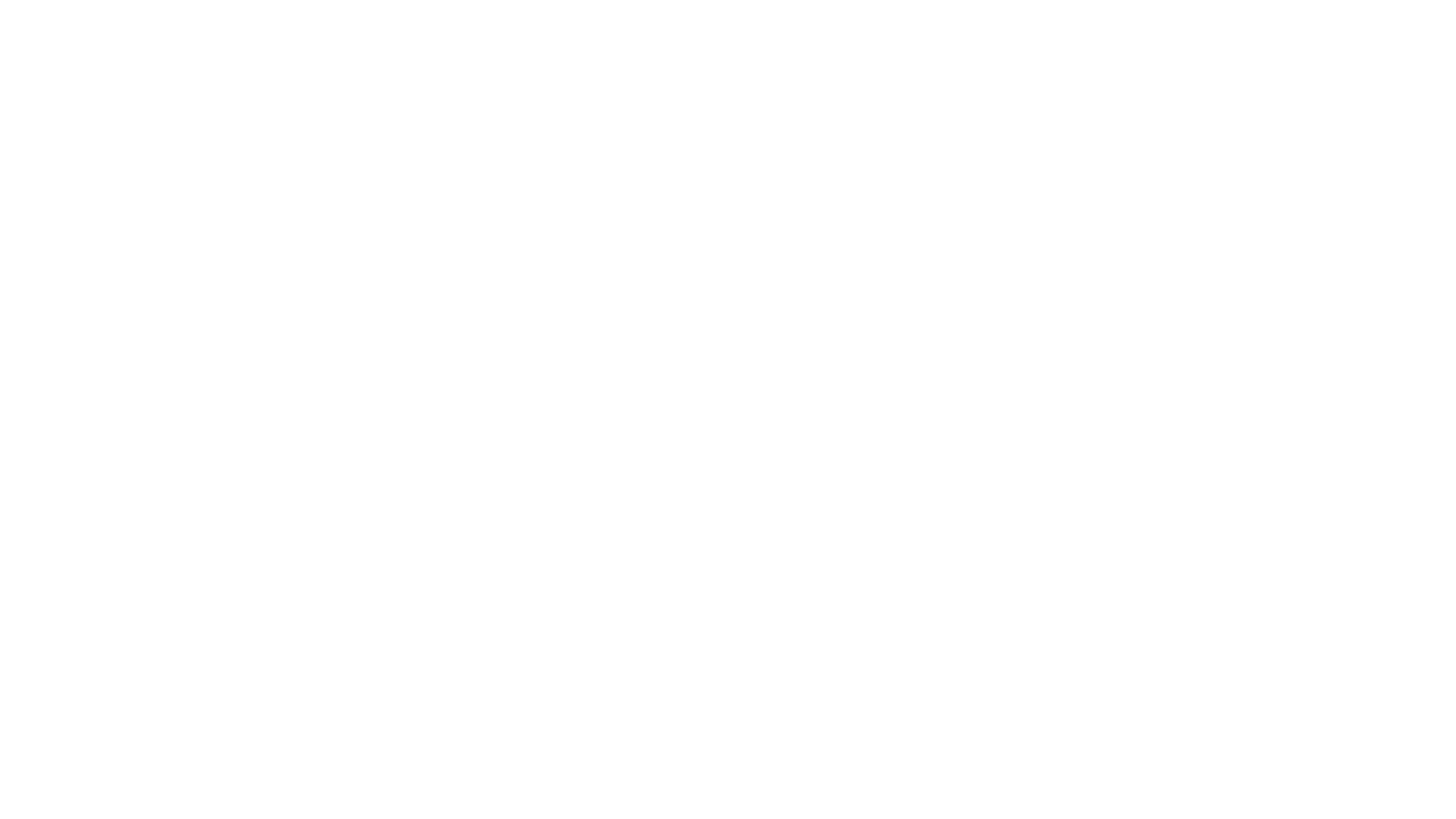 Mirva Hajukari digineuvola logo