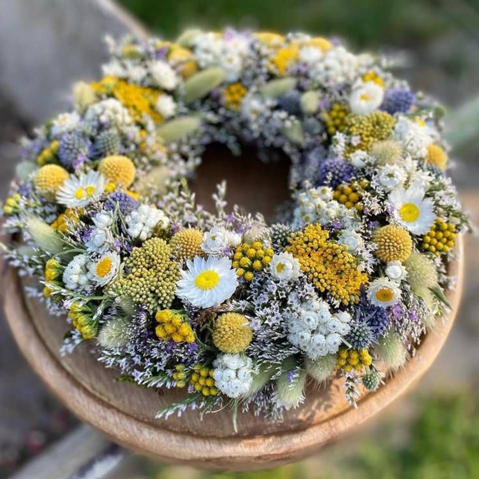 Ein Nest mit gesprenkelten Eiern, spriessenden grünen Pflanzen und Moos vor einem hölzernen Hintergrund.