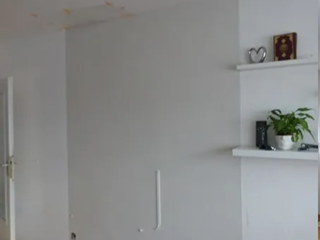 In der Ecke des Zimmers steht auf einem Regal eine Pflanze.