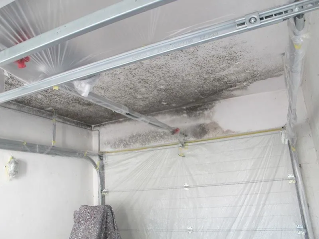 An der Decke einer Garage befindet sich viel Schimmel.