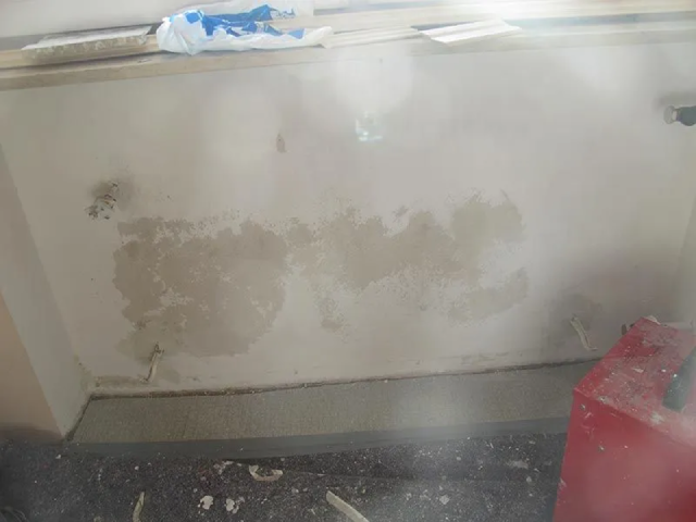 In einem Zimmer wird eine Wand mit vielen Flecken gestrichen.