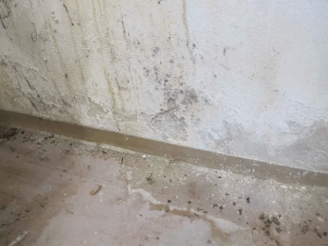 Eine Nahaufnahme einer schmutzigen Wand und eines schmutzigen Bodens in einem Raum.