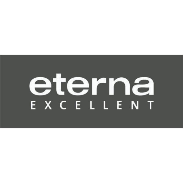 eterna excellent logo