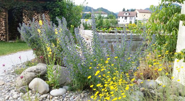 Sonnenbeschatteter Garten mit Steinmauer, blauem Stuhl und einer Person, die Pflanzen pflegt.