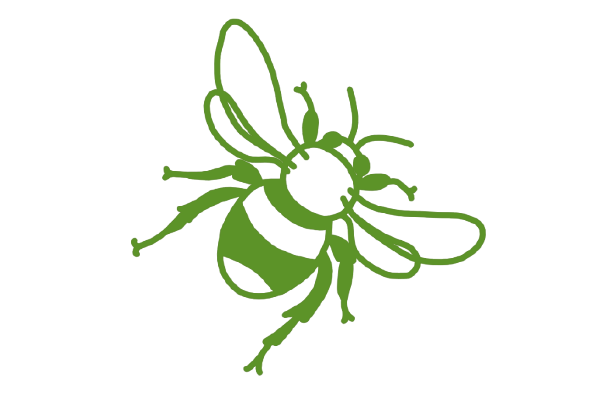 Zwei grüne, strichgezeichnete Blumen mit Stängeln und Blättern