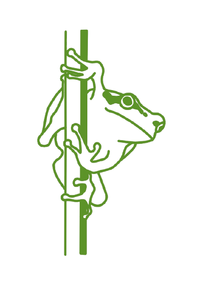 Zwei grüne, umrandete Blüten mit Stängeln und Blättern auf weissem Hintergrund