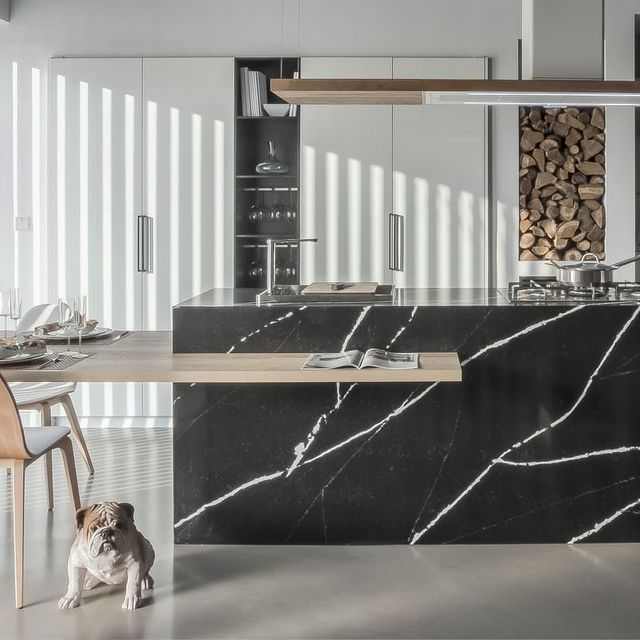 Un perro pequeño está sentado en el suelo de una cocina.