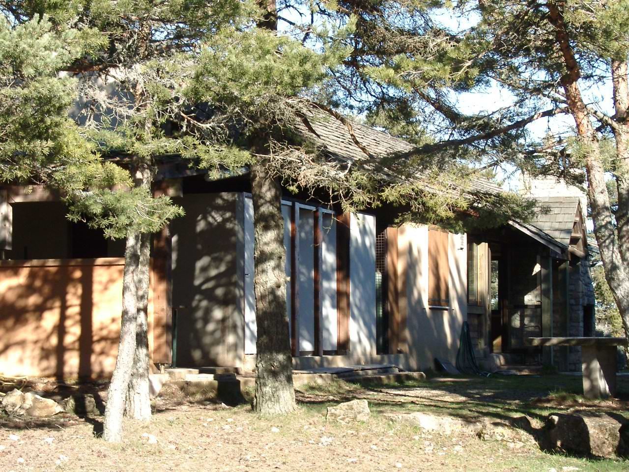 Cabane en bois au milieu des pins, avec un extérieur ensoleillé et une véranda ombragée.
