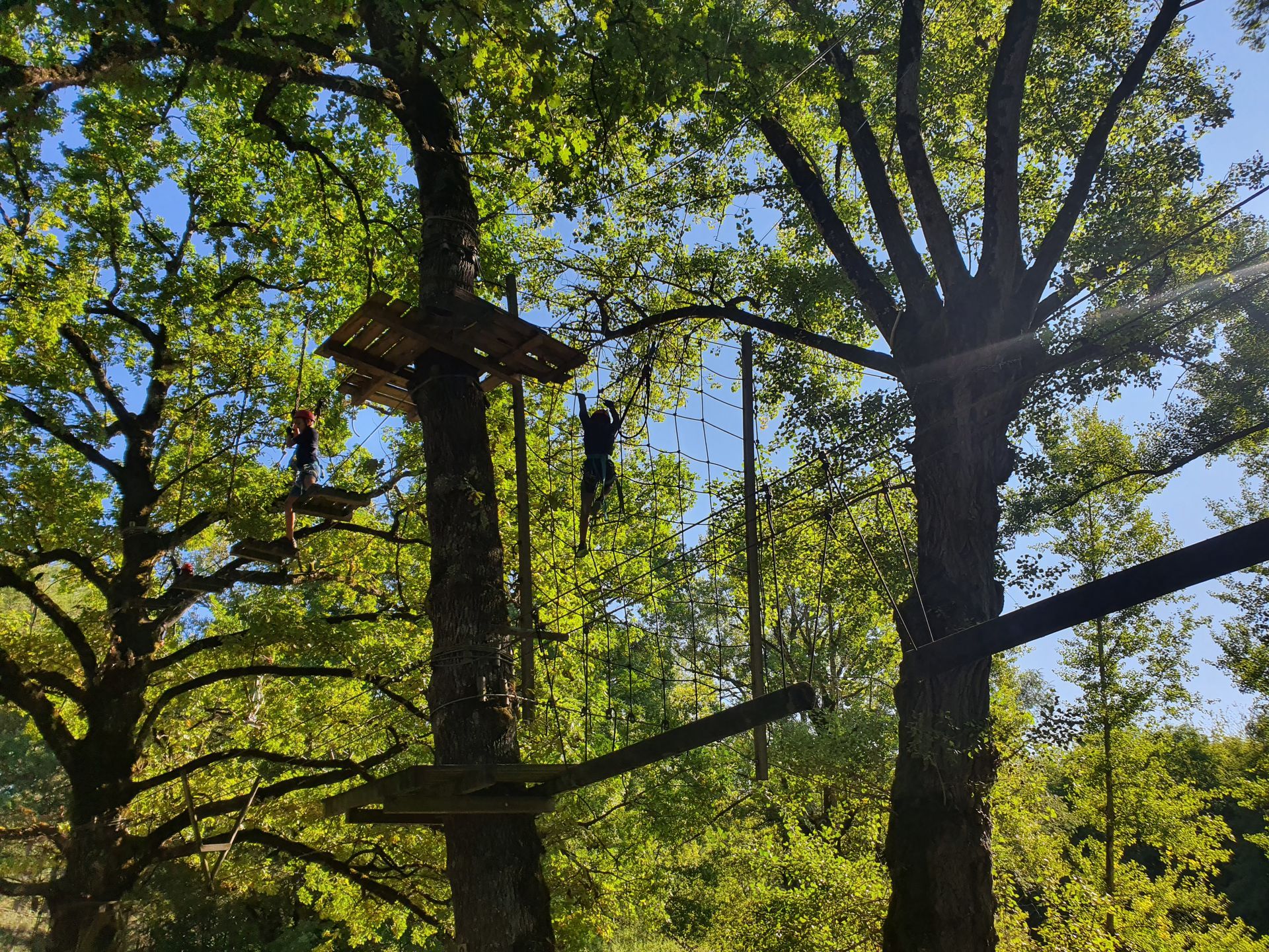 Des plateformes de parcours d'accrobranche au milieu d'arbres verdoyants sous un ciel d'un bleu éclatant