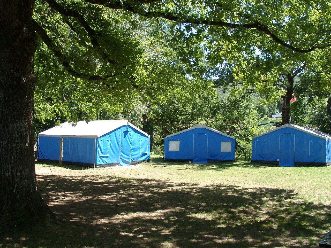 Des cabanes bleues dans une clairière herbeuse ombragée, sous de grands arbres.