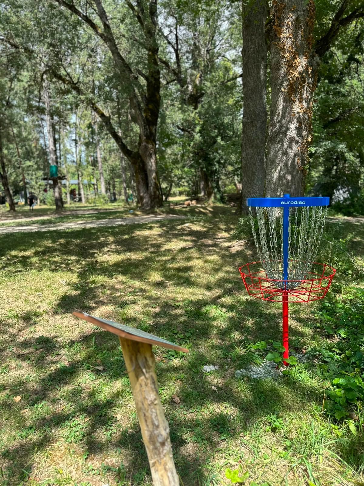 Panier de disc golf dans un parc boisé avec un tee en bois au premier plan