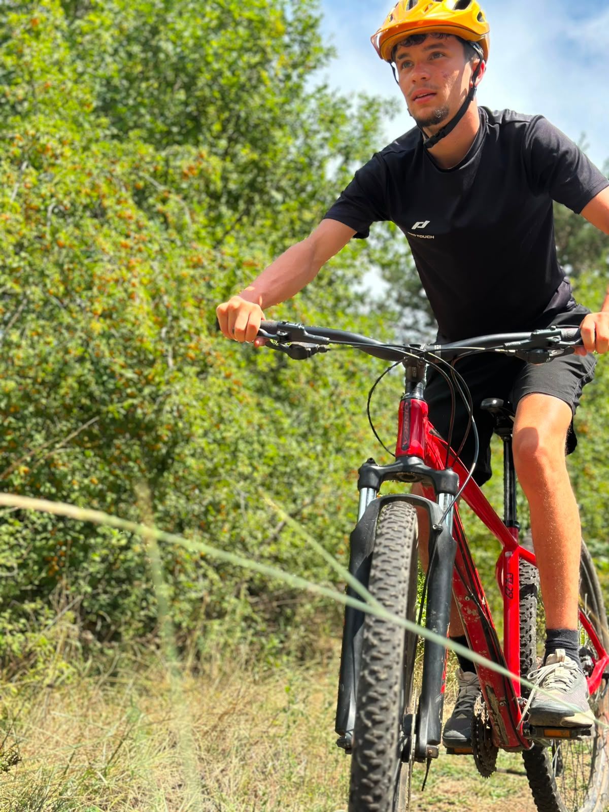 Un vététiste portant un casque jaune roule sur un vélo rouge sur un sentier, entouré d'arbres verts.