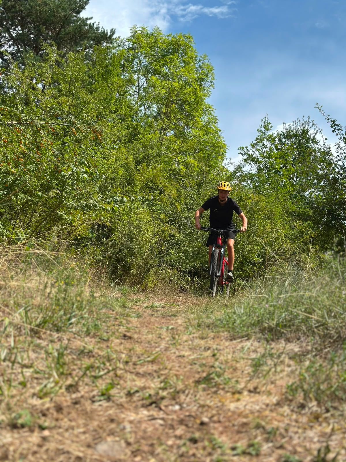 Un cycliste roule sur un chemin de terre à travers de hautes herbes sous un ciel d'un bleu éclatant.