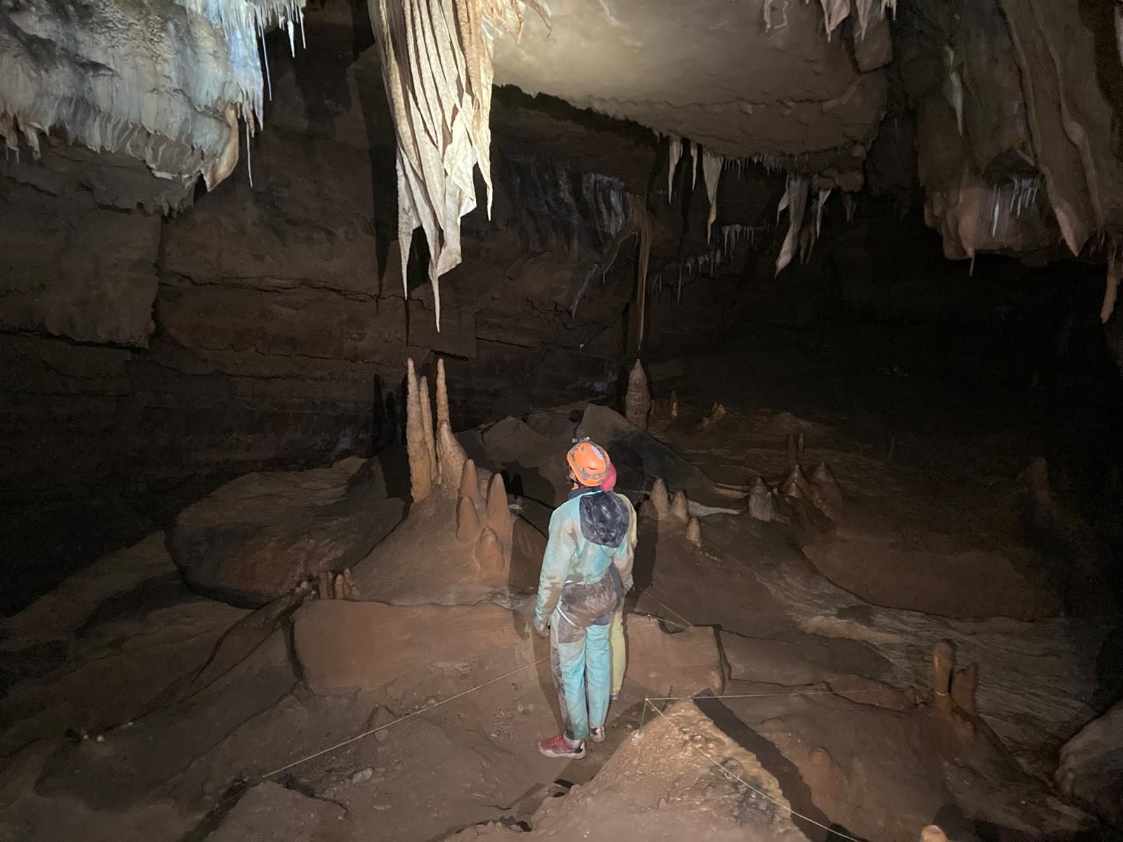 Une personne se tient debout dans une grotte sombre, sous des stalactites suspendues, regardant vers le haut.