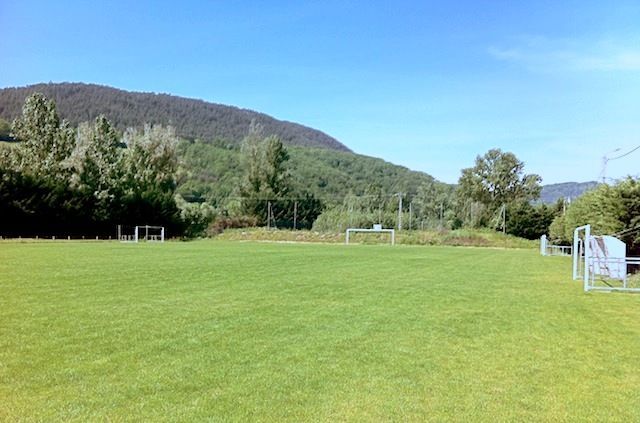 Champ herbeux ensoleillé avec des arbres et des collines sous un ciel bleu clair
