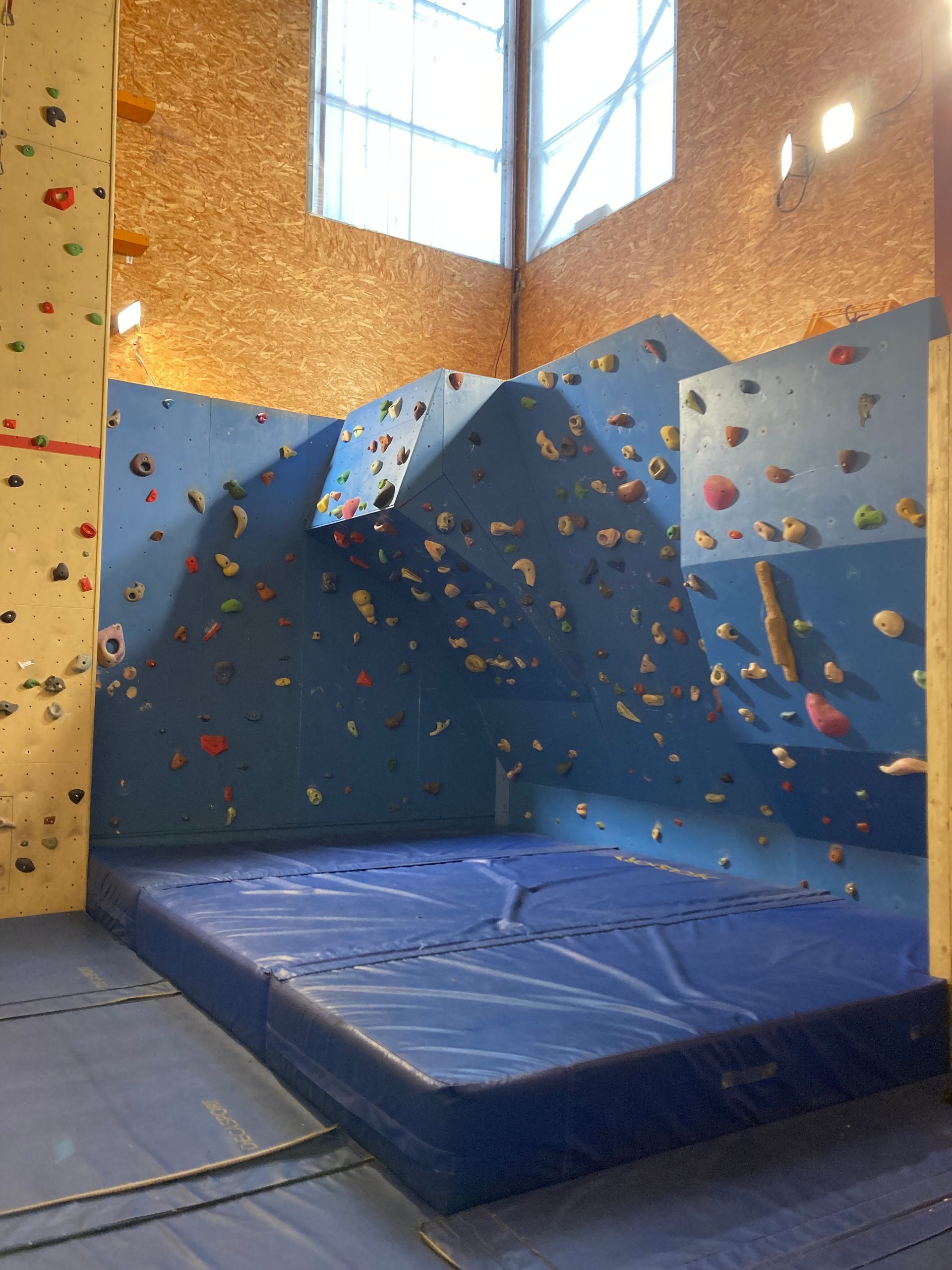 Salle d'escalade intérieure avec tapis de sol bleus et mur d'escalade coloré sous une fenêtre.