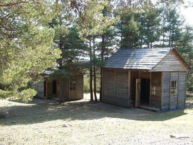 Deux petites cabanes en bois dans une clairière ensoleillée entourée d'arbres
