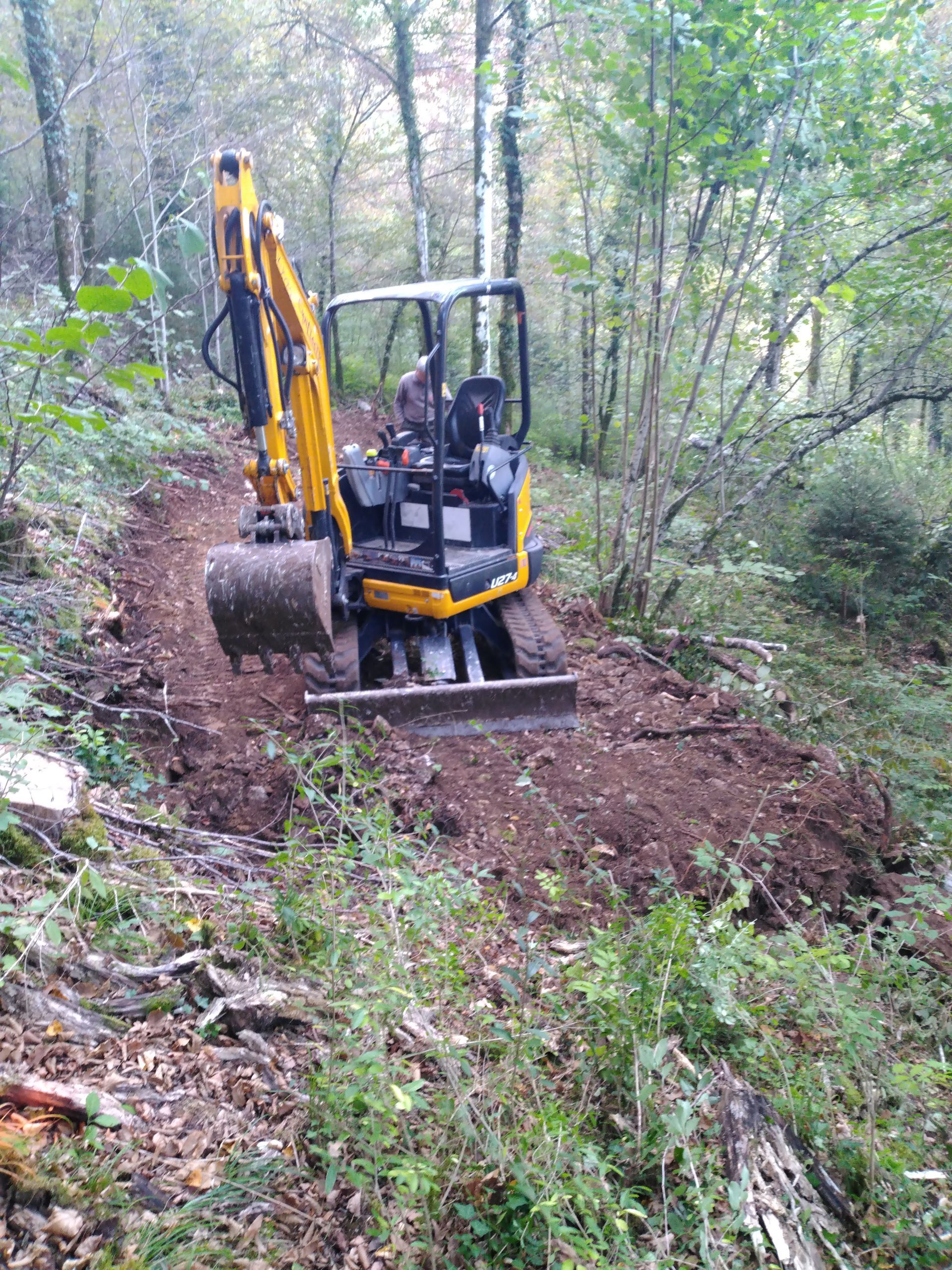 Minipelle dans des bois