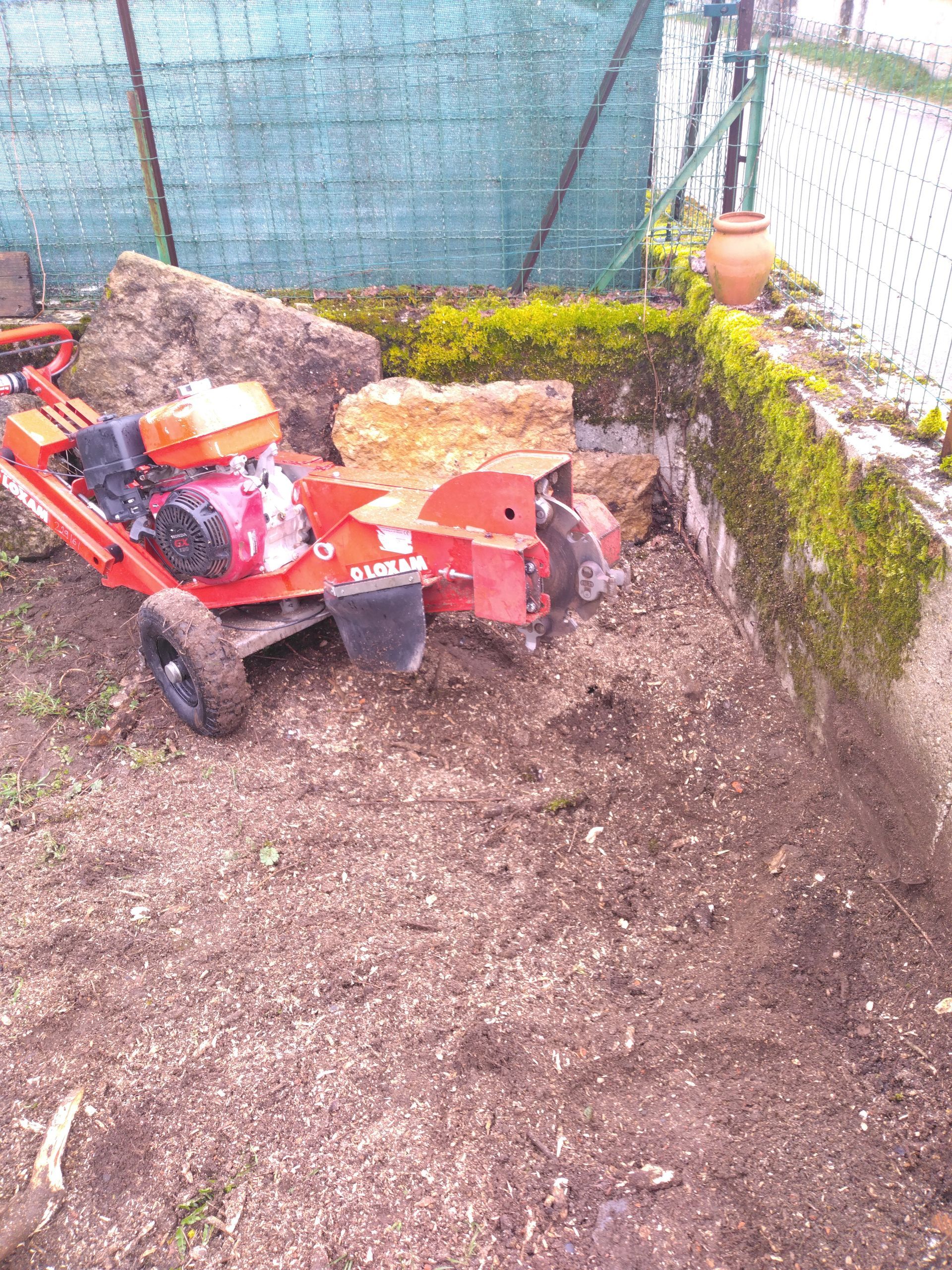 Rognage d'une souche près d'un mur de clôture