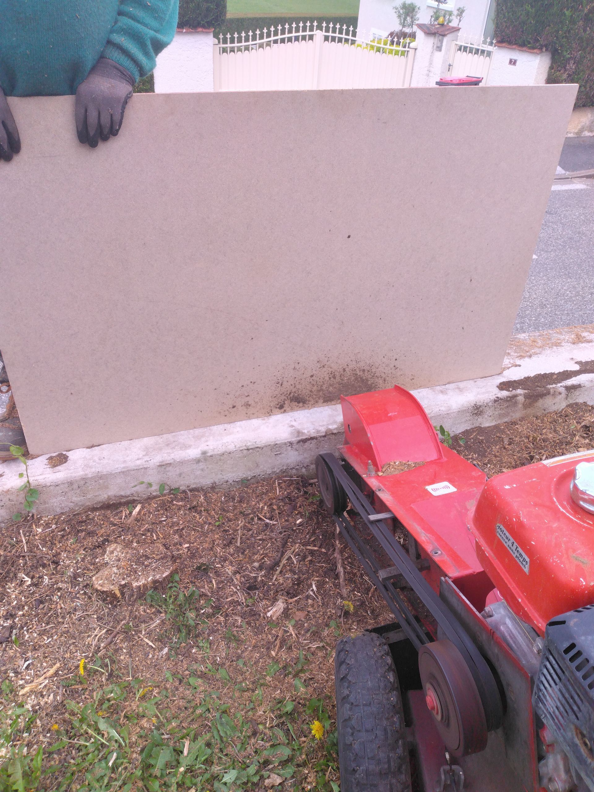 Rognage d'une souche près d'un mur d'habitation
