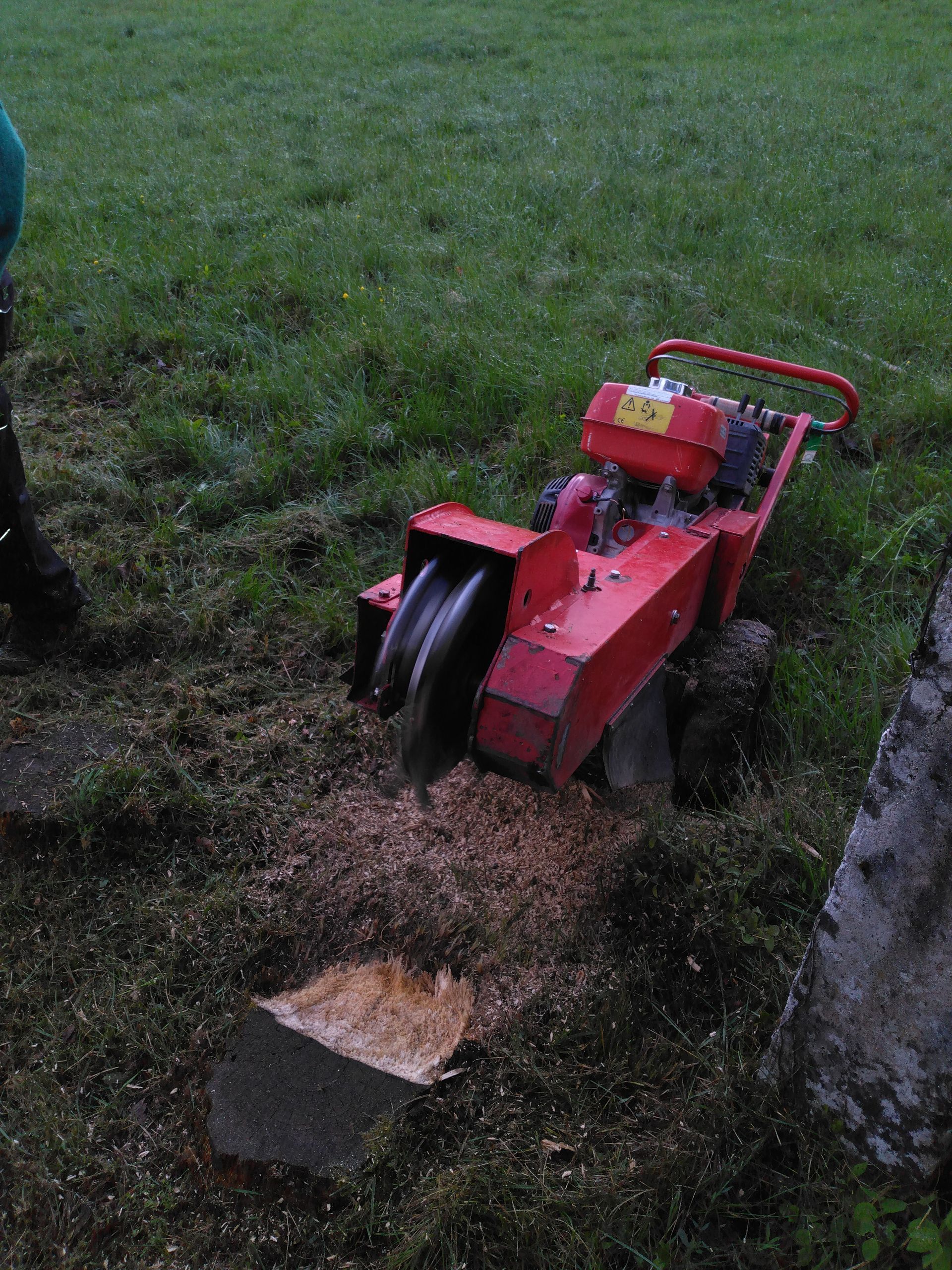 Travaux de rognage de souche