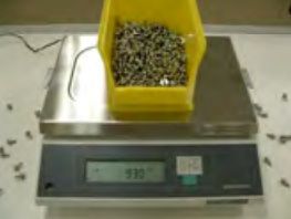 BW-K / BX-K series balance being used