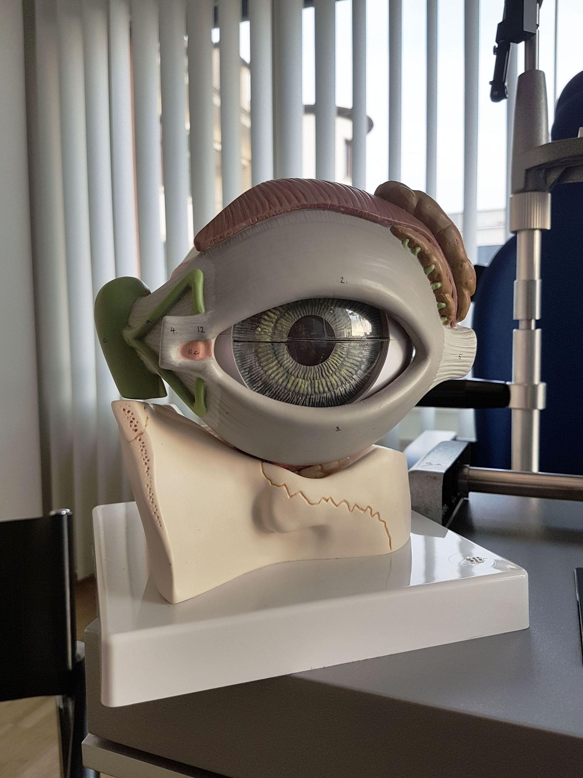 Augenarztpraxis Landolt Praxis